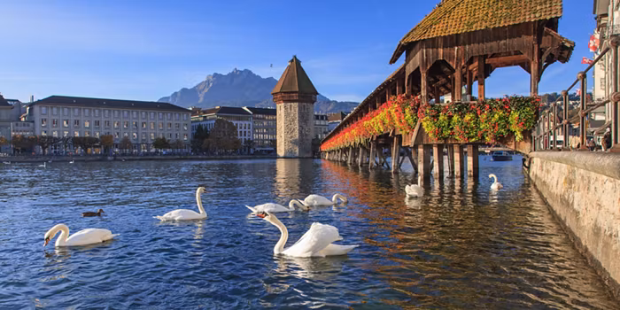 Lucerne